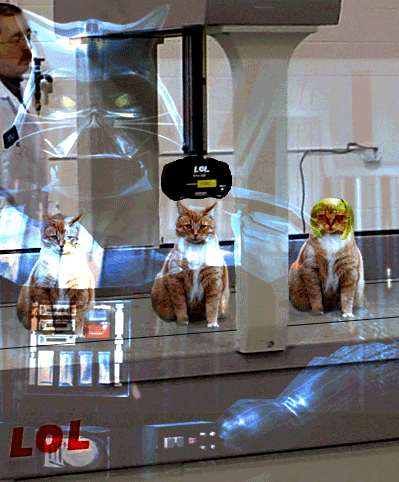 Assembly - Cat Troopers Assemble!